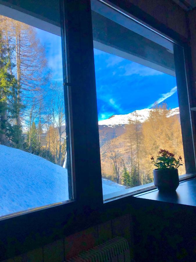 **New**Marilleva 1400**Trilocale Sulle Piste Exterior foto
